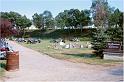WS_2000_21