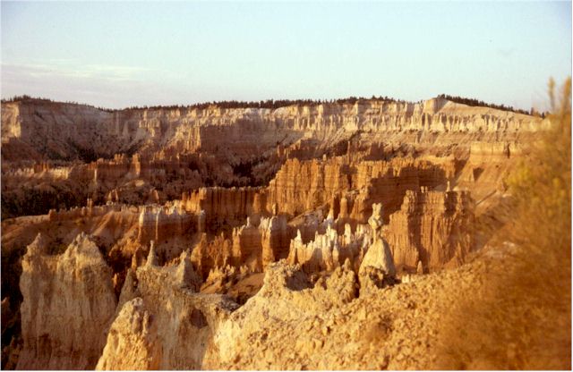 WS_2002_42.jpg