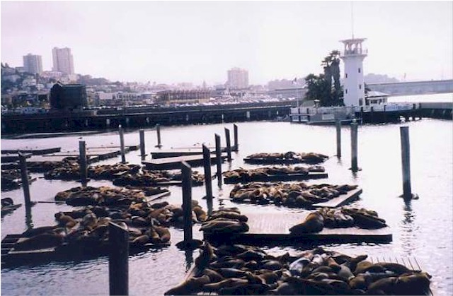 WS_2002_53.jpg