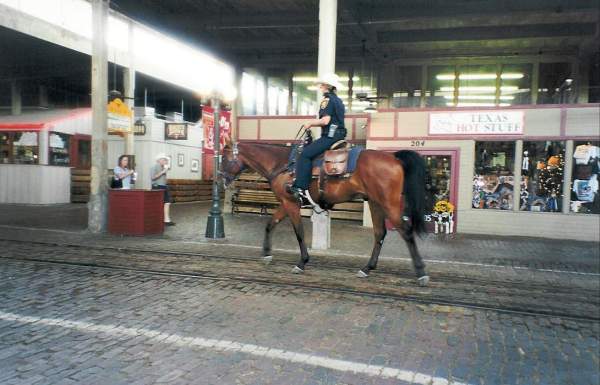 WS_2002_60.jpg