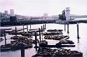 WS_2002_53