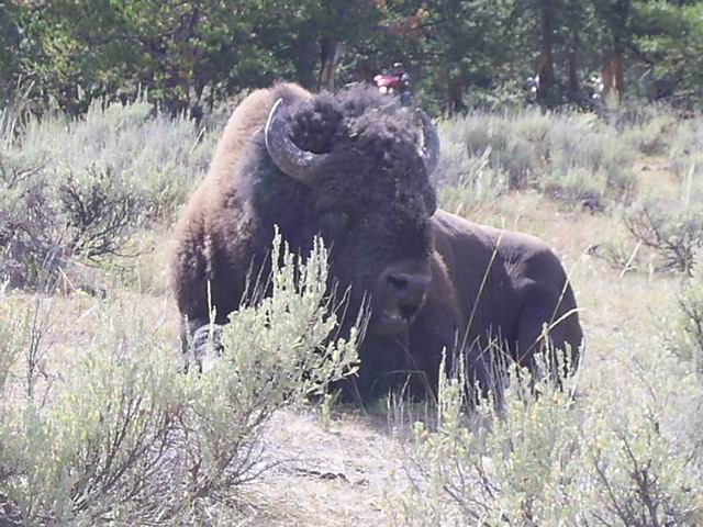WS_2006_071.JPG