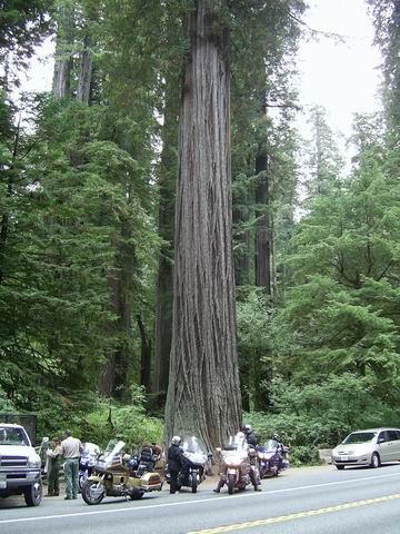 WS_2006_115.JPG