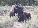WS_2006_071