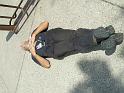 WS_2006_088