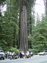 WS_2006_115