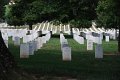 WS_2010_012