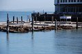 WS_2010_129